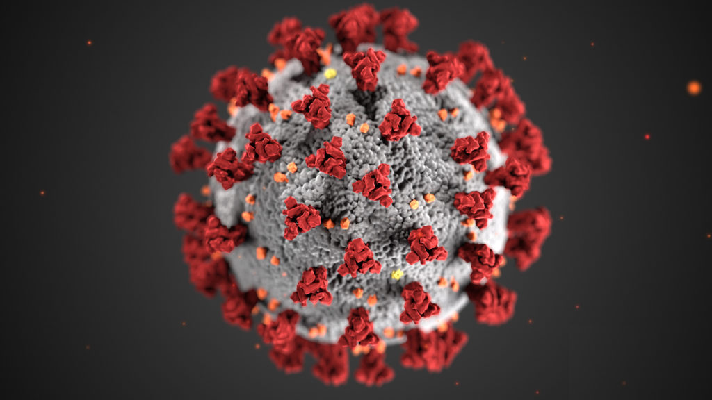 corona virus